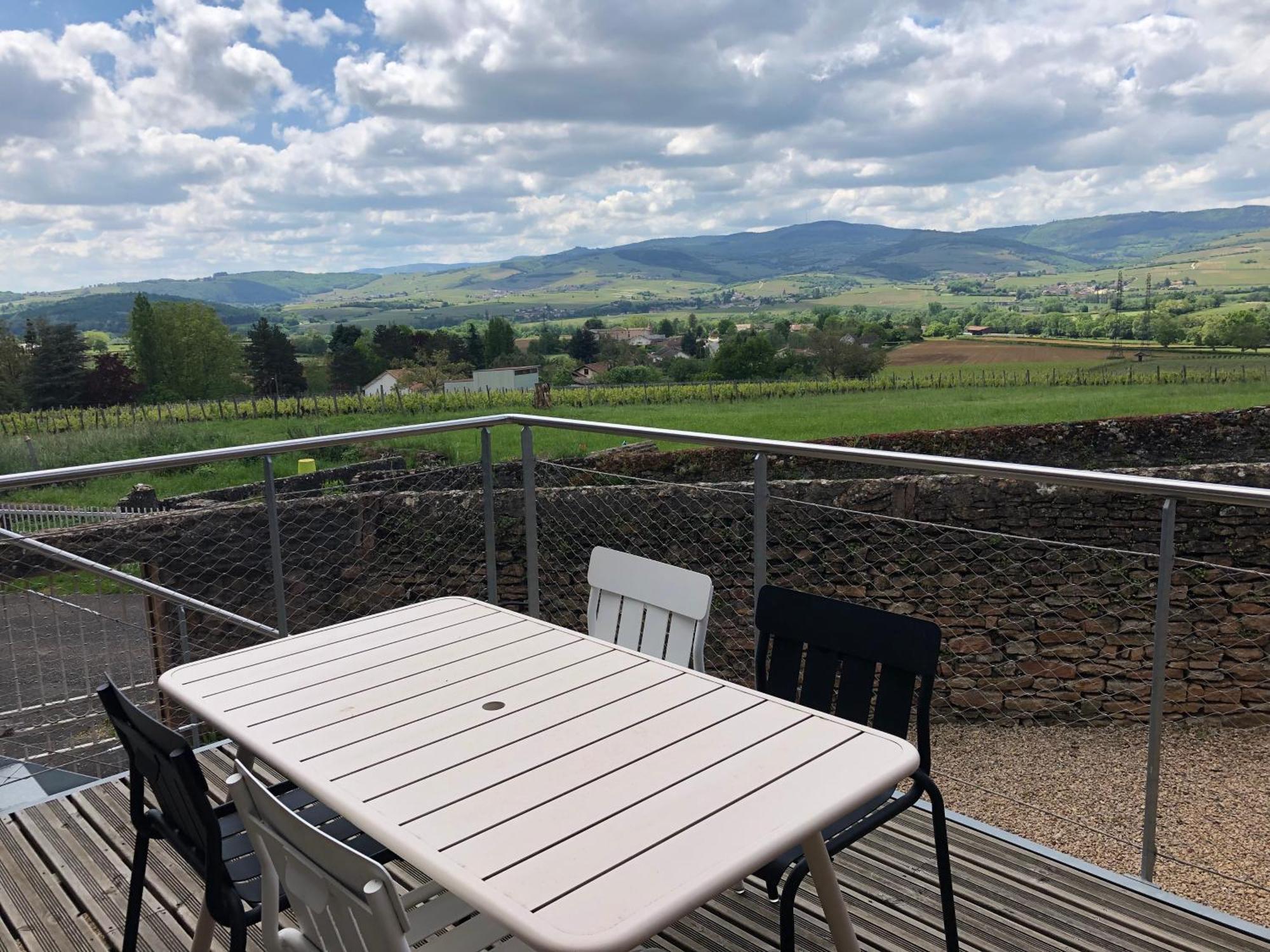 Appartement Contemporain Dans Une Authentique Demeure Viticole Charnay-lès-Mâcon 외부 사진
